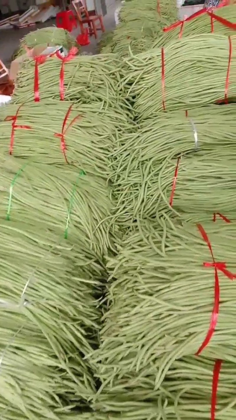 大量供应豆角，黄瓜，丝瓜，小南瓜，香芋南瓜等各类蔬菜！