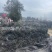 福建无沙干海带