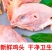 24斤六和鸡头新鲜整箱新鲜冷冻鸡头12斤冷冻新鲜28斤