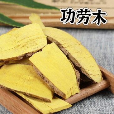 中药材信誉产品批发功劳木新货无硫规格齐全