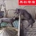 新美系黑杜公猪杜洛克种公猪黑杜种猪黑金刚猪黑公猪原种母猪