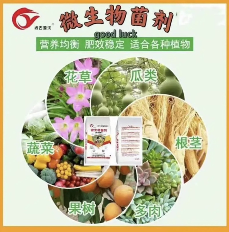 微生物菌剂根腐专用有机质85%，每克10亿菌