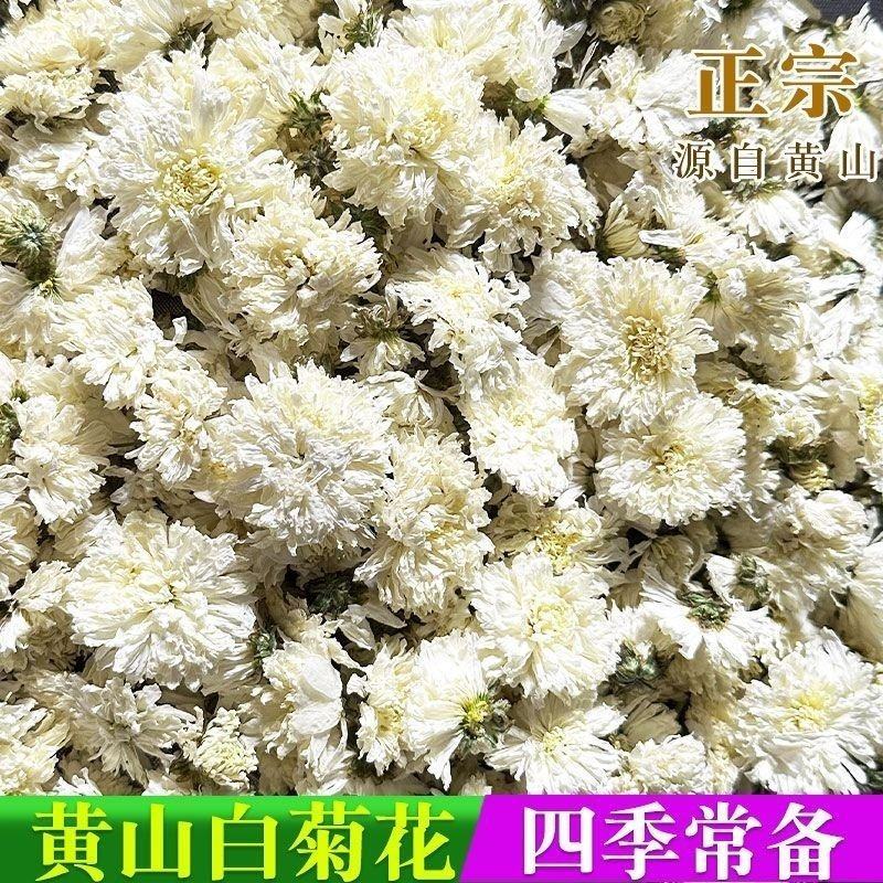 正品七月菊菊花茶正宗新货黄山贡菊精选大朵白菊花菊花茶