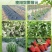 大量元素水溶肥高氮型高磷型高钾型平衡型厂家直销