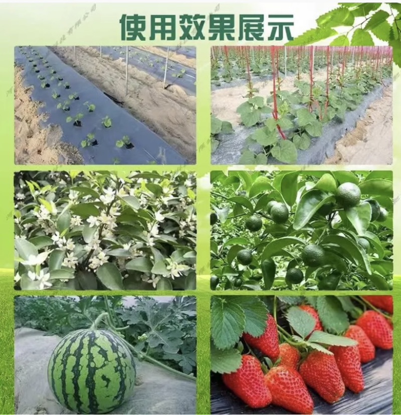 大量元素水溶肥高氮型高磷型高钾型平衡型厂家直销
