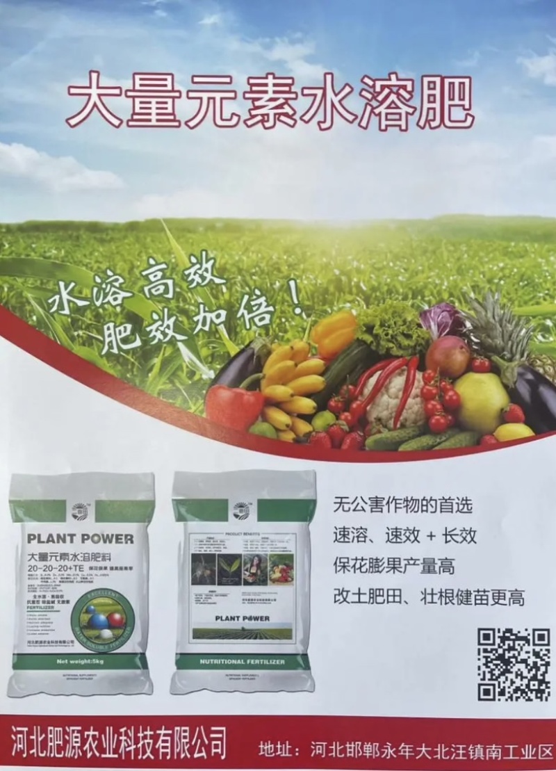 大量元素水溶肥高氮型高磷型高钾型平衡型厂家直销