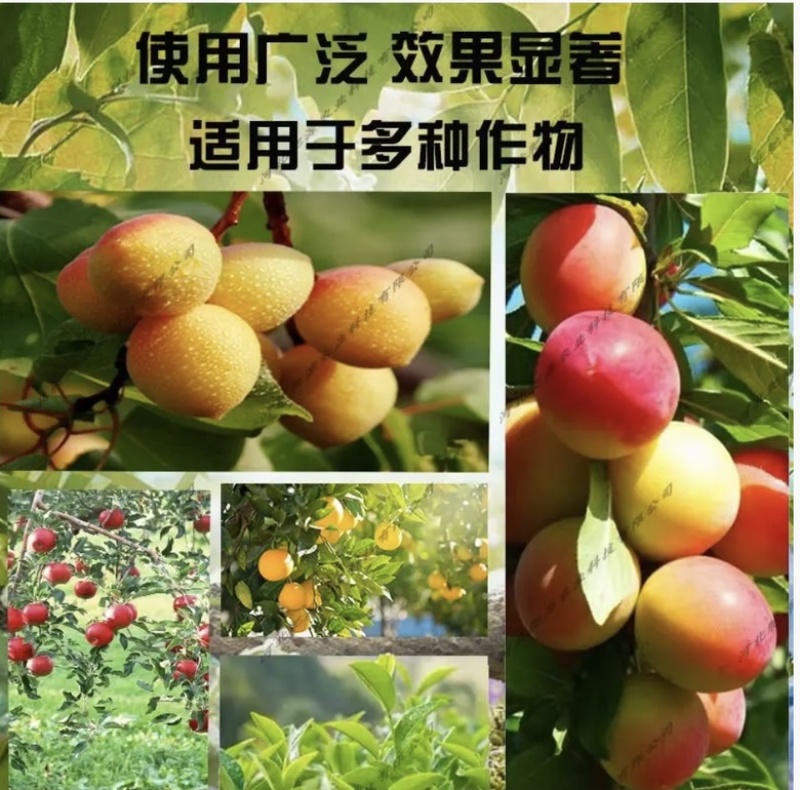 大量元素水溶肥高氮型高磷型高钾型平衡型厂家直销