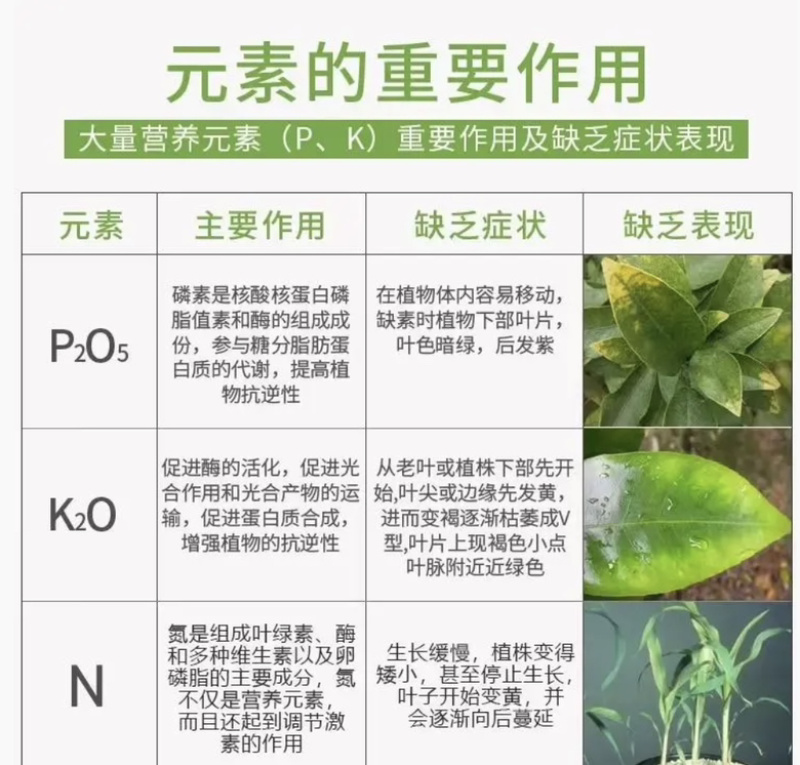 复合大量元素水溶肥高氮型高磷型高钾型平衡型