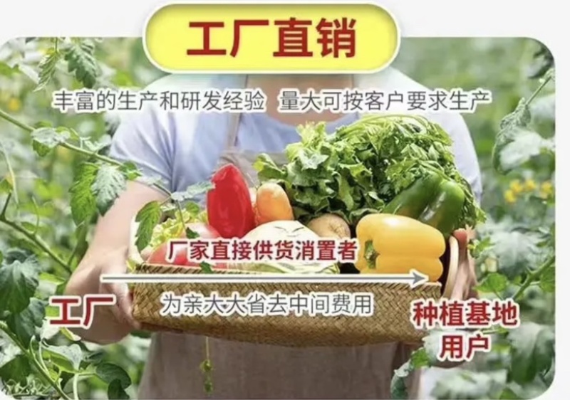 复合大量元素水溶肥高氮型高磷型高钾型平衡型