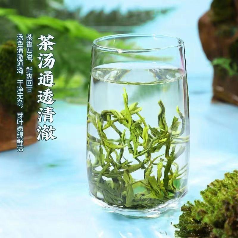明前特级绿茶茶叶2023新茶高山云雾茶批发炒青春茶浓香型