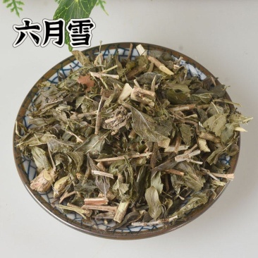 中药材信誉产品批发六月雪中药材规格齐全诚信一件起批