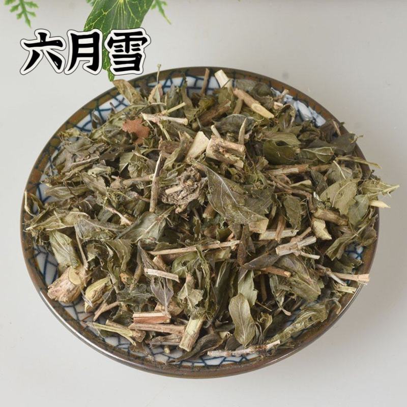 中药材信誉产品批发六月雪中药材规格齐全诚信一件起批