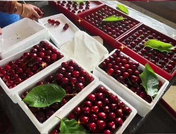 红灯樱桃电商销售页面示意图