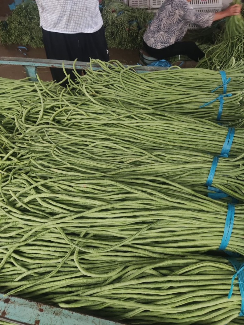 精品豆角，豆角绿色食品，无农药无公害