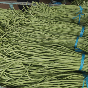 精品豆角，豆角绿色食品，无农药无公害