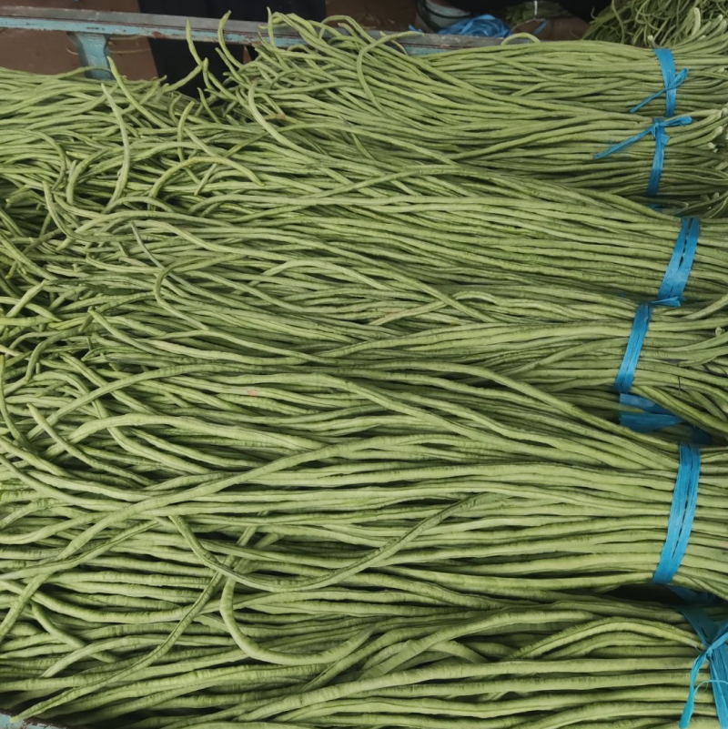 精品豆角，豆角绿色食品，无农药无公害