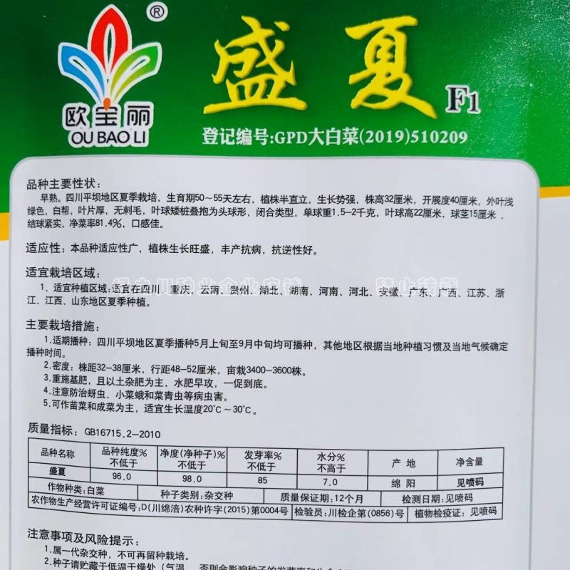 抗热大白菜种子夏秋季白菜种籽早熟耐热菜籽结球白菜