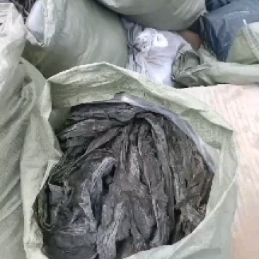 福建无沙干海带