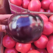 各类蔬菜大量上市