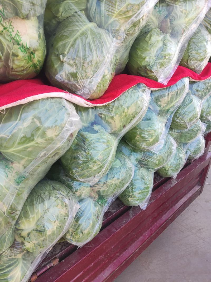 各类蔬菜大量上市