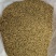 五谷虫中药材食用干净五谷虫干黄金无谷虫蛆蝇蛆干
