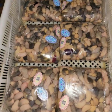 公鸡蛋鸡卵鸡子乌鸡腰子麻鸡腰子新鲜鸡腰子花腰各种规格