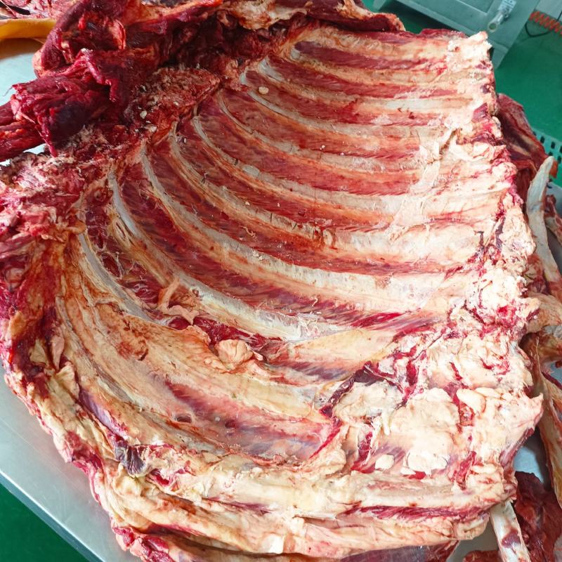 鲜牛肉鲜牛排，有量的来，支持全国各地发货