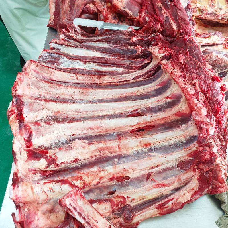 鲜牛肉鲜牛排，有量的来，支持全国各地发货