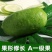 海南香水柠檬《子弹头》