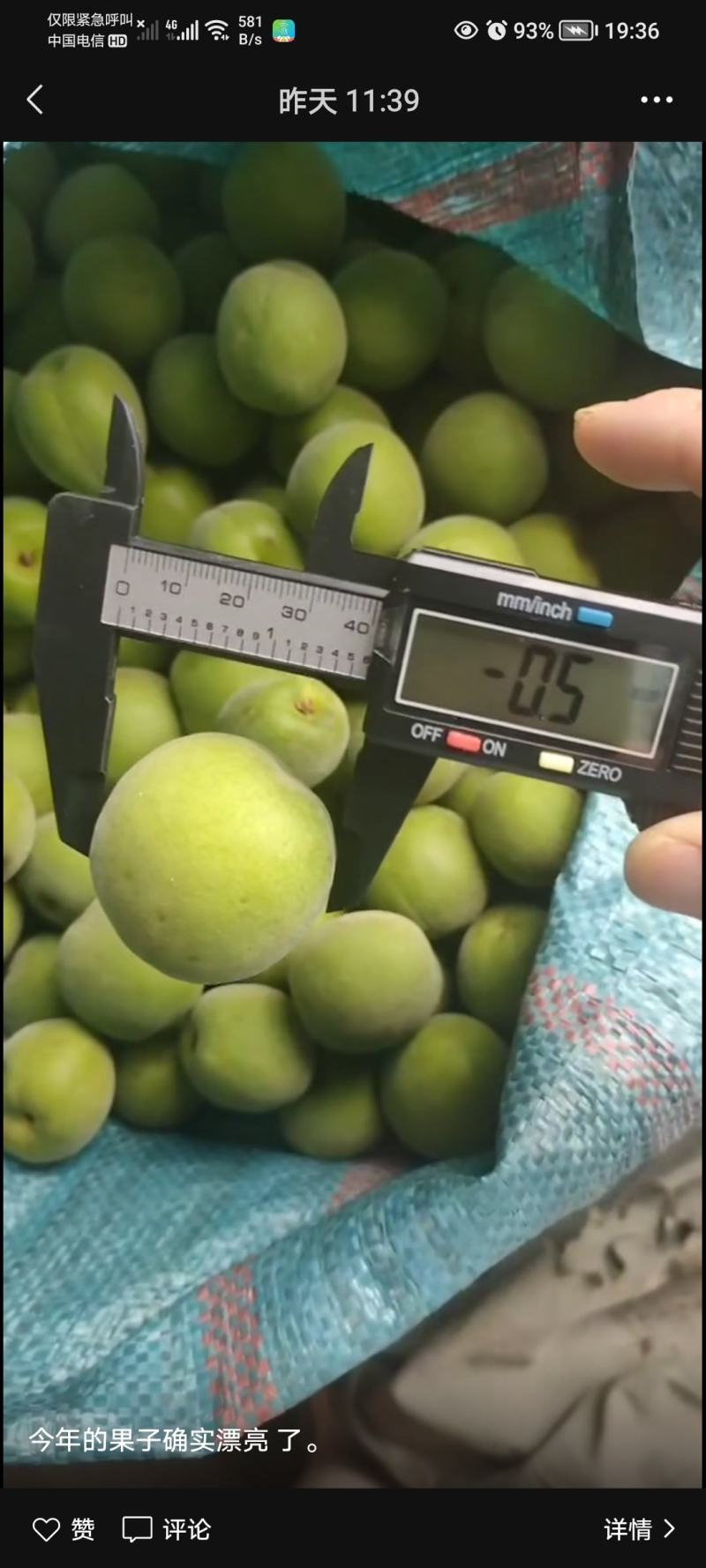 云南青梅
