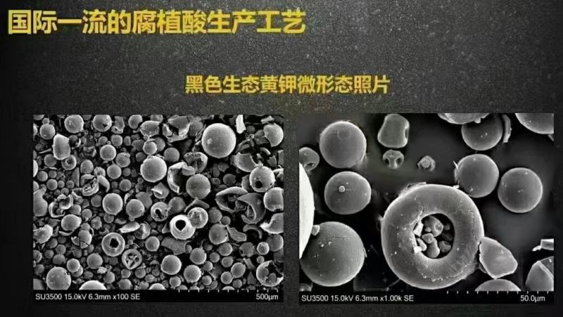 新疆矿源黄腐酸钾高含量全水溶易吸收抗硬水调节盐碱改良土壤