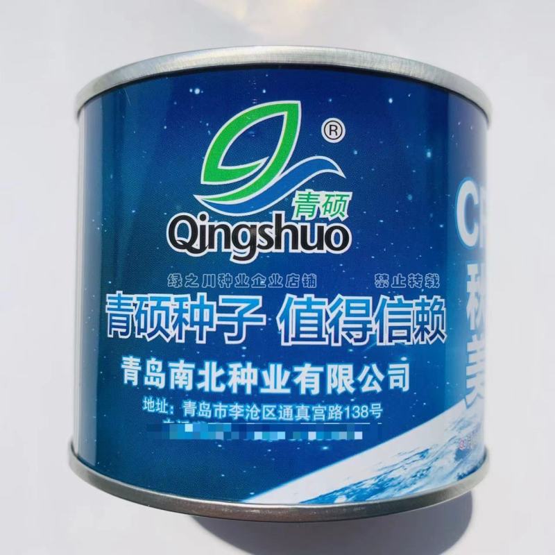 CR秋美抗根肿耐重茬抗病大白菜种子短圆筒形叠抱白菜种籽