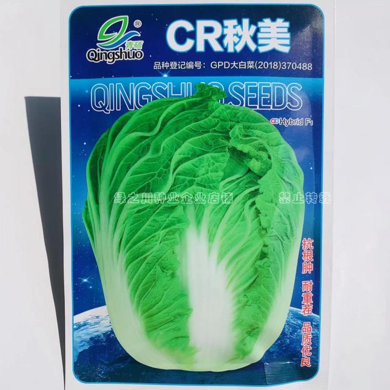CR秋美抗根肿耐重茬抗病大白菜种子短圆筒形叠抱白菜种籽
