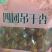 杏干