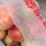 精品脆桃甜脆基地直发品质保保证诚信经营
