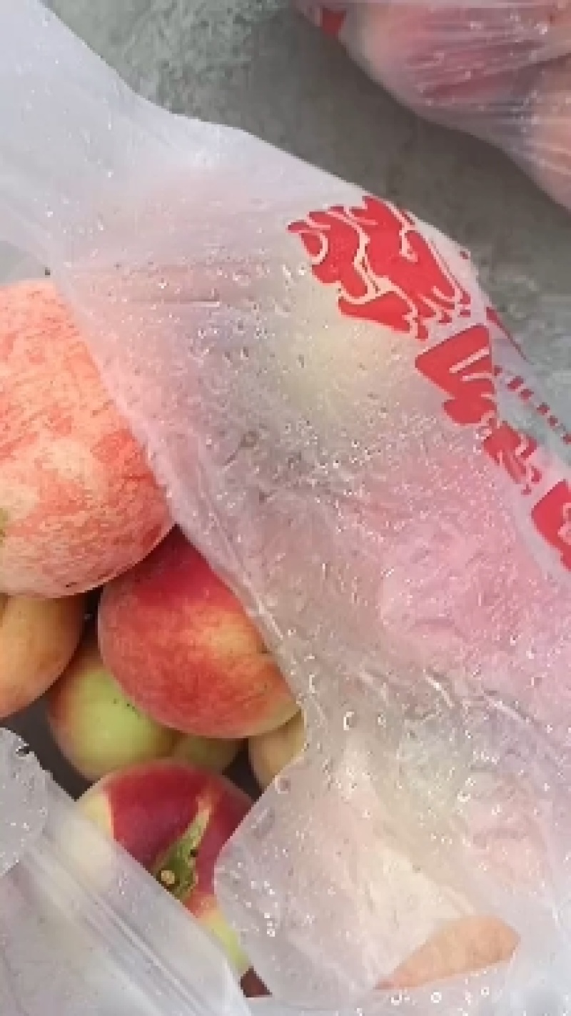 精品脆桃甜脆基地直发品质保保证诚信经营