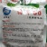高产早熟大青豆种子毛豆冬天豆种子春播夏播青皮绿皮青豆种子