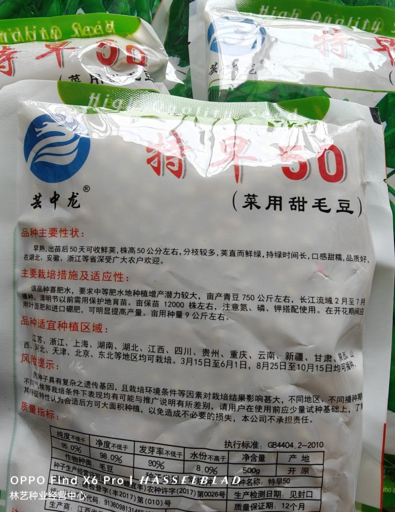 高产早熟大青豆种子毛豆冬天豆种子春播夏播青皮绿皮青豆种子