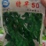 高产早熟大青豆种子毛豆冬天豆种子春播夏播青皮绿皮青豆种子