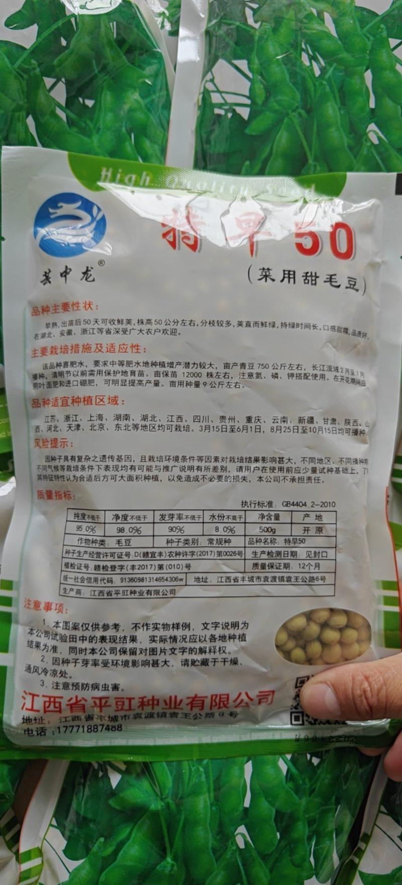高产早熟大青豆种子毛豆冬天豆种子春播夏播青皮绿皮青豆种子