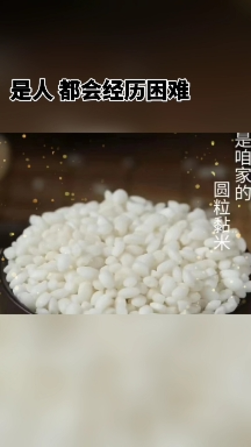 843新米东北糯米江米圆粒白糯米10斤，粽子糯米饭端午