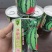 宁波金美都西瓜冰糖麒麟早佳大红瓤品质好瓜型均匀甜度高