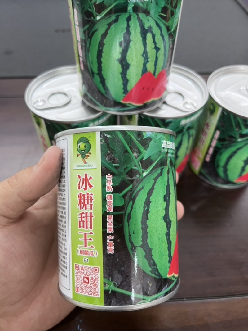 宁波金美都西瓜冰糖麒麟早佳大红瓤品质好瓜型均匀甜度高