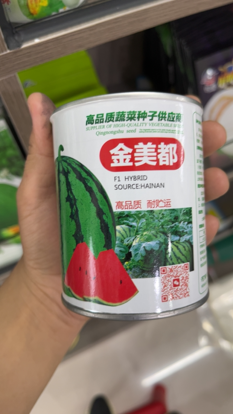 宁波金美都西瓜冰糖麒麟早佳大红瓤品质好瓜型均匀甜度高