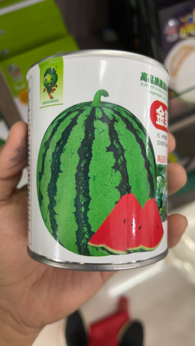 宁波金美都西瓜冰糖麒麟早佳大红瓤品质好瓜型均匀甜度高