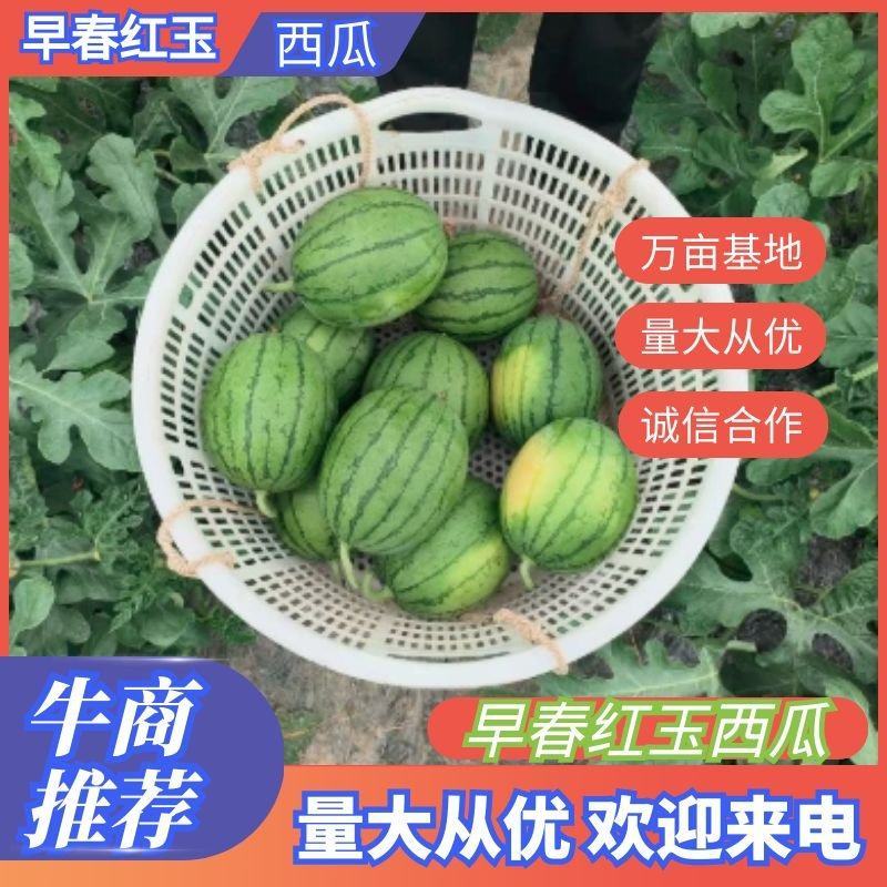 精品嘉秀西瓜/量大从优/青皮细纹/口感好/欢迎电话联系