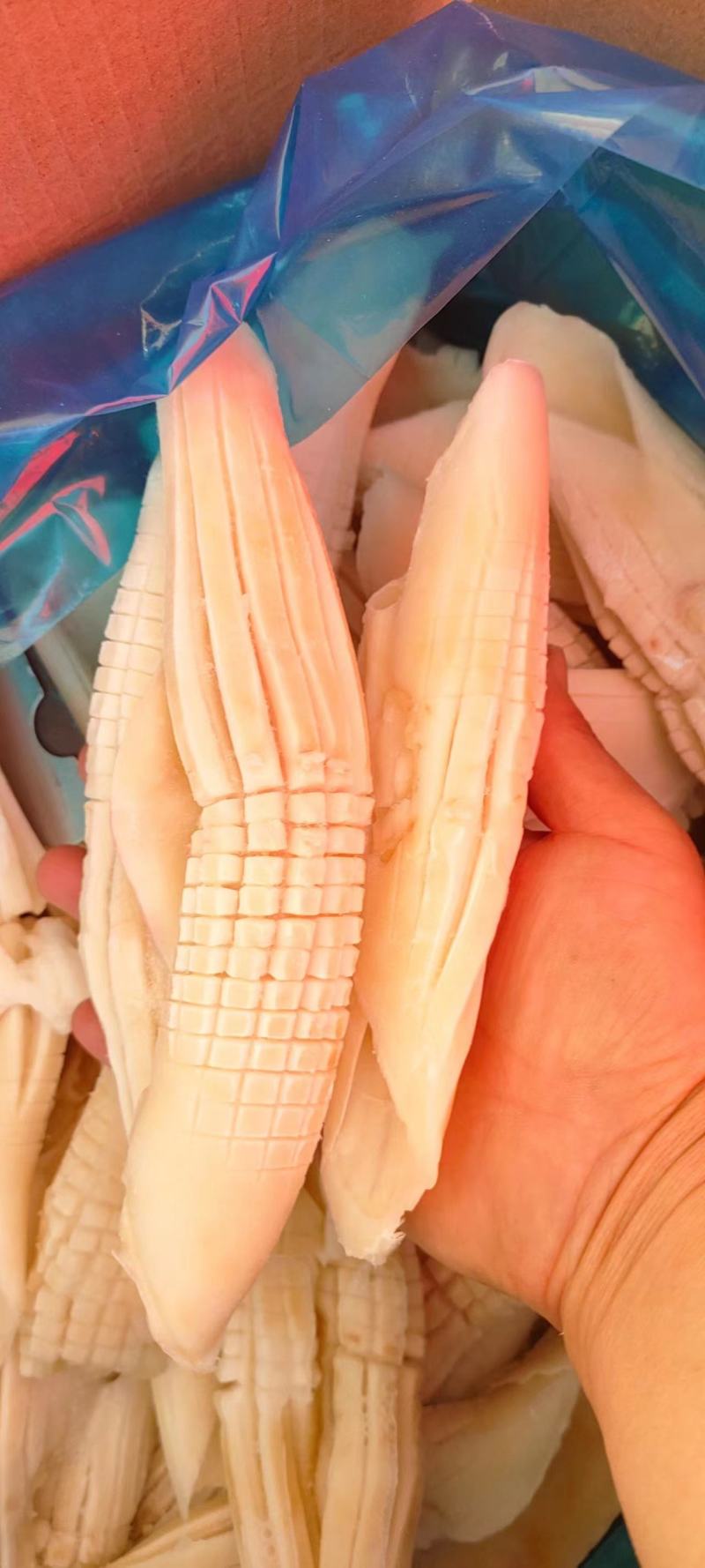 火箭鱿鱼整只冷冻新鲜鱿鱼须铁板烧烤商用批发量大从优火锅食