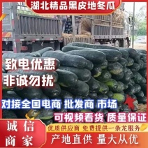 【热卖】优质黑皮冬瓜基地直发物美价廉代发全国