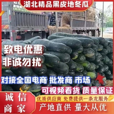 【热卖】优质黑皮冬瓜基地直发物美价廉代发全国