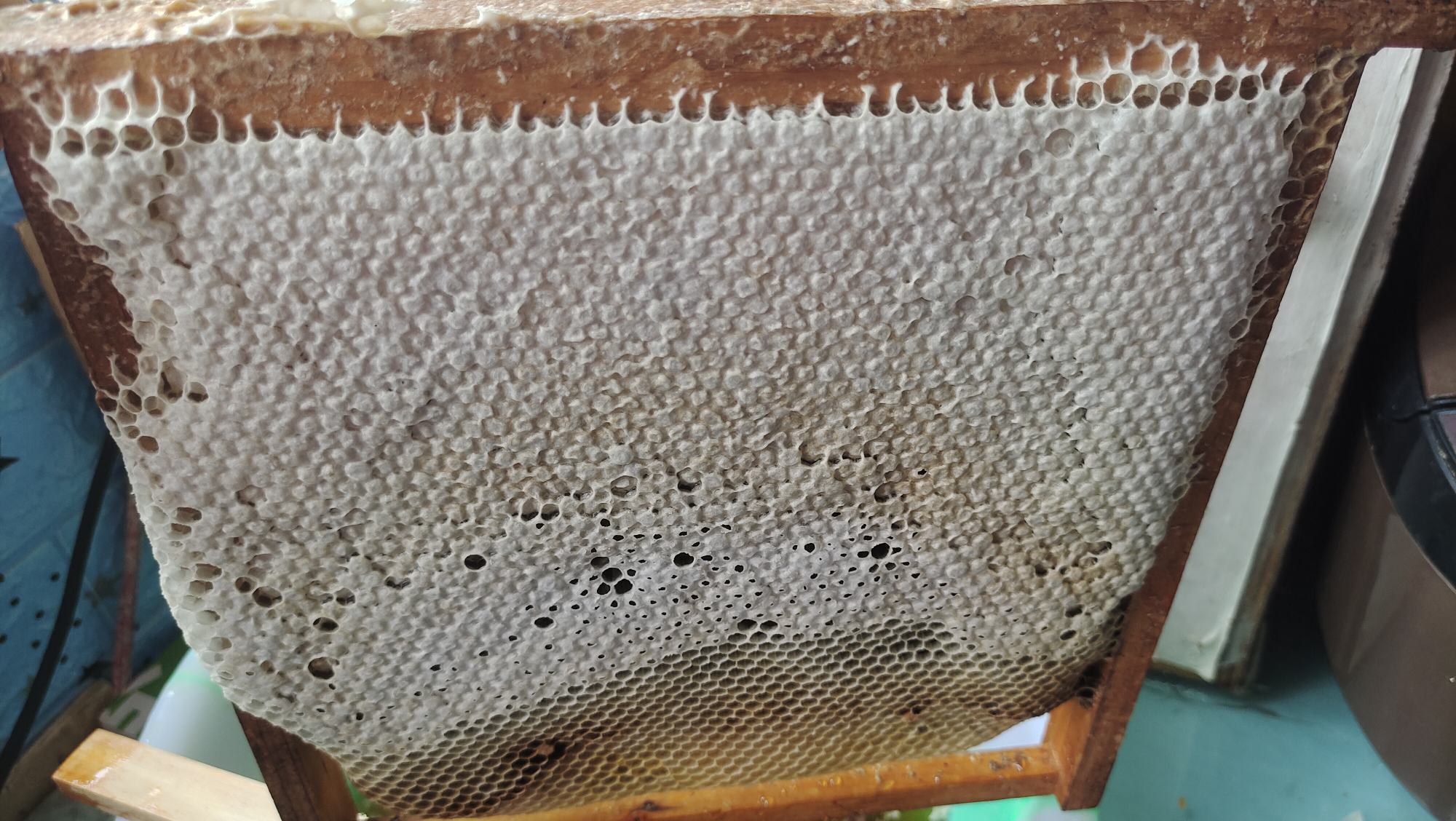 蜂蜜瓶装与自然蜂巢